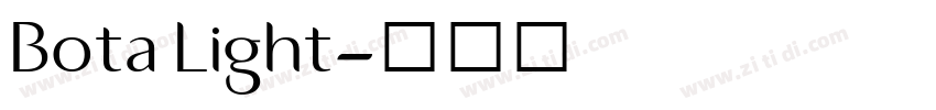 Bota Light字体转换
